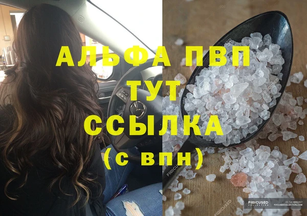 PSILOCYBIN Новокубанск