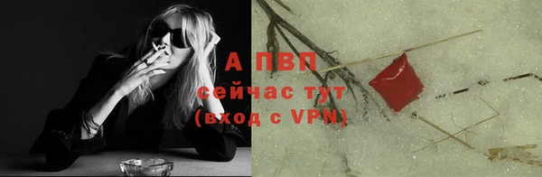 a pvp Новозыбков