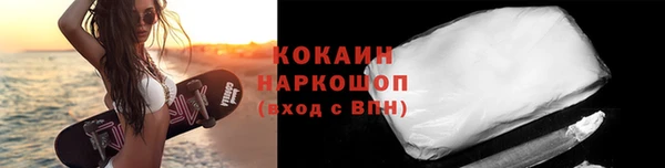 a pvp Новозыбков