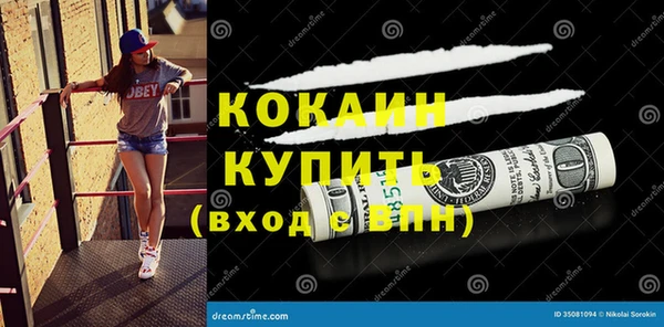 мдпв Новодвинск