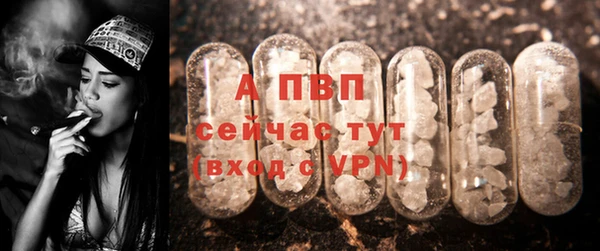 мдпв Новодвинск