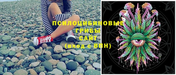 PSILOCYBIN Новокубанск