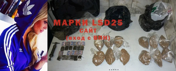 PSILOCYBIN Новокубанск