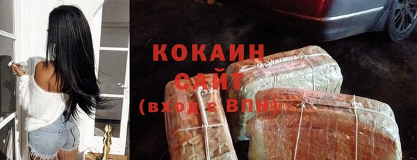 a pvp Новозыбков