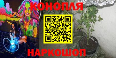 шишки Балашиха