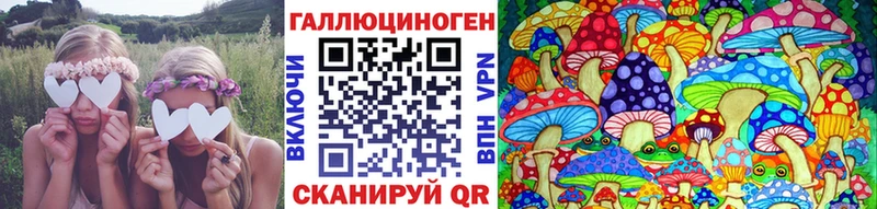 Псилоцибиновые грибы Cubensis  наркотики  Волгоград 