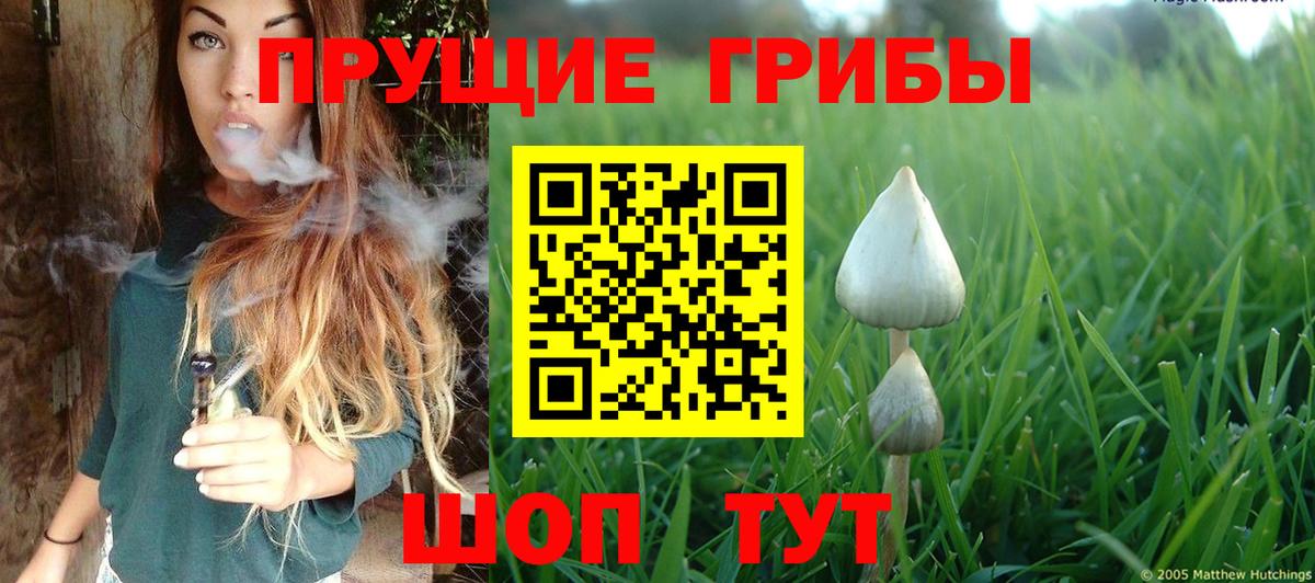 Галлюциногенные грибы Psilocybine cubensis  Вход с VPN  Волгоград 