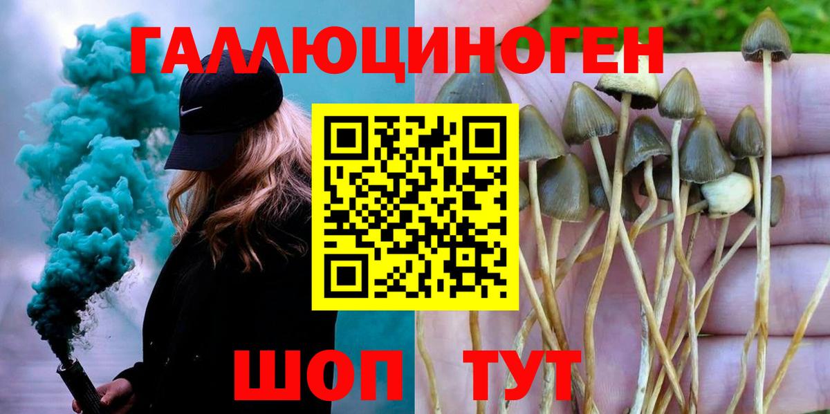 Галлюциногенные грибы прущие грибы  Псилоцибиновые грибы Cubensis  Волгоград 