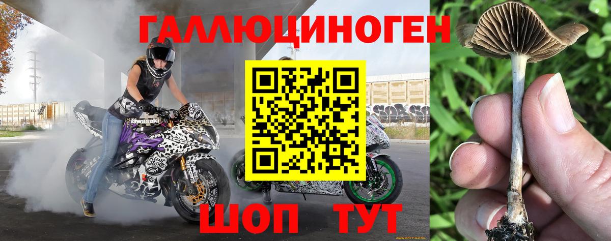 Галлюциногенные грибы Cubensis Волгоград
