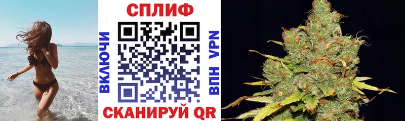 где купить наркоту  Волгоград  Шишки марихуана гибрид 